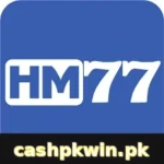 HM77